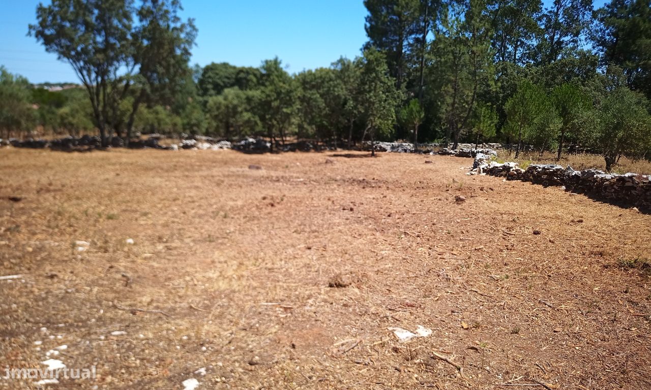 2250m² Land in Fatima, Portugal No. 250654