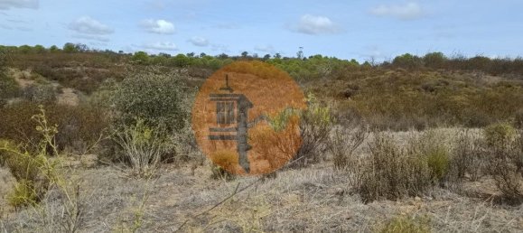 Terreno em Azinhal, Portugal 3200 m² N.º 57386 5