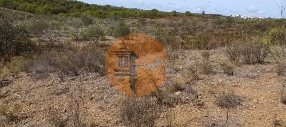 Terreno em Azinhal, Portugal 3200 m² N.º 57386 17