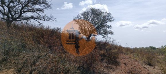 Terreno em Azinhal, Portugal 3200 m² N.º 57386 8