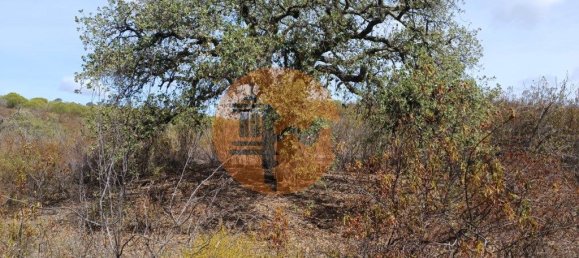 Terreno em Azinhal, Portugal 3200 m² N.º 57386 7