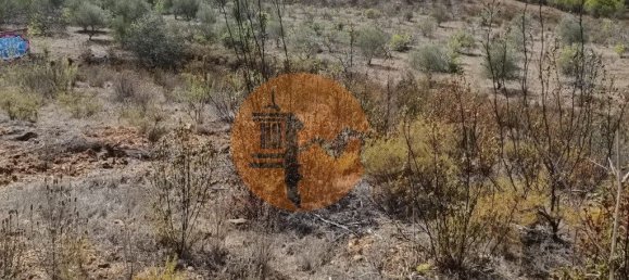 Terreno em Azinhal, Portugal 3200 m² N.º 57386 9