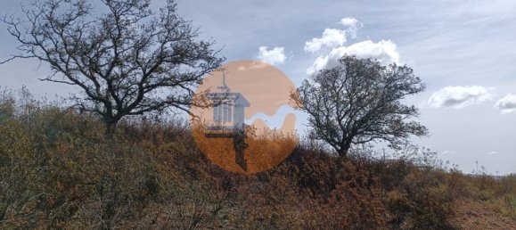 Terreno em Azinhal, Portugal 3200 m² N.º 57386 14