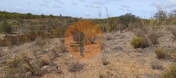 Terreno em Azinhal, Portugal 3200 m² N.º 57386 20