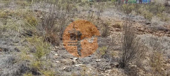 Terreno em Azinhal, Portugal 3200 m² N.º 57386 15