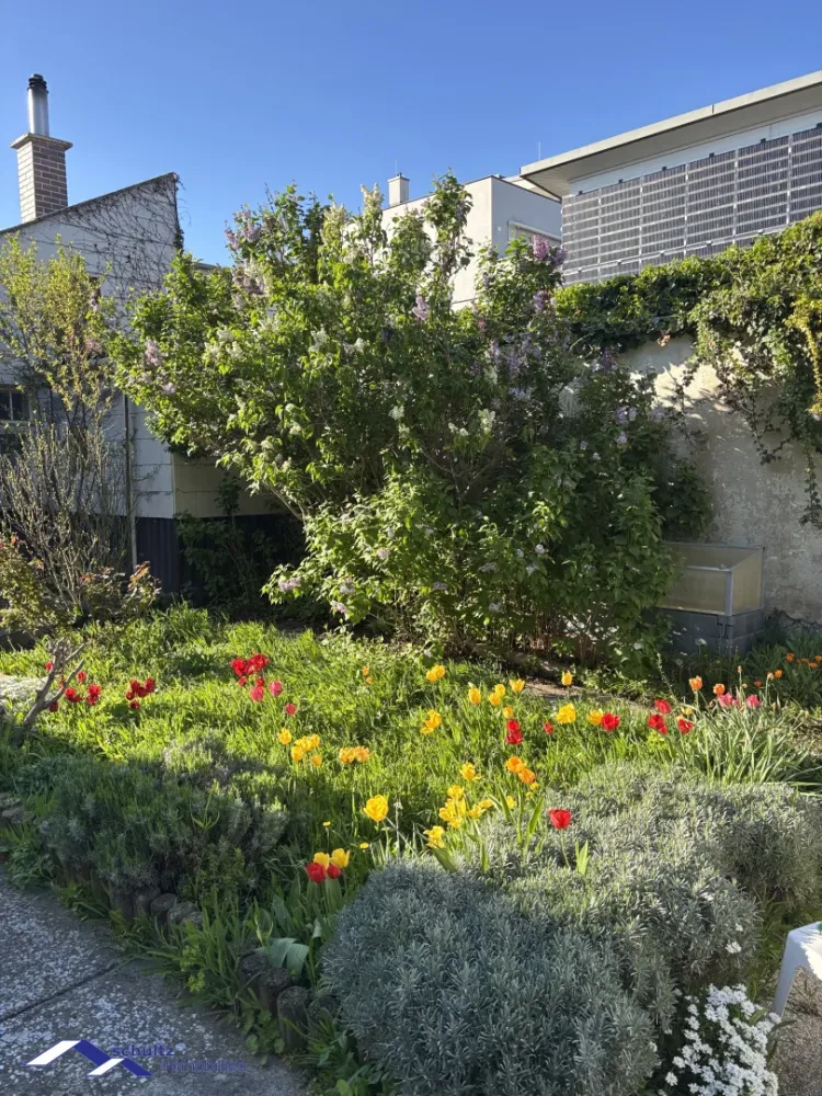 687m² Land in Guntramsdorf, Austria No. 20858