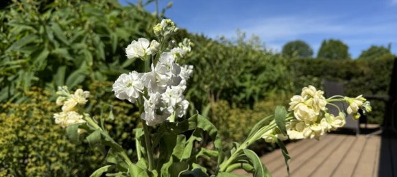 3غرفة بنغالو في Harz, Germany رقم 220864 24