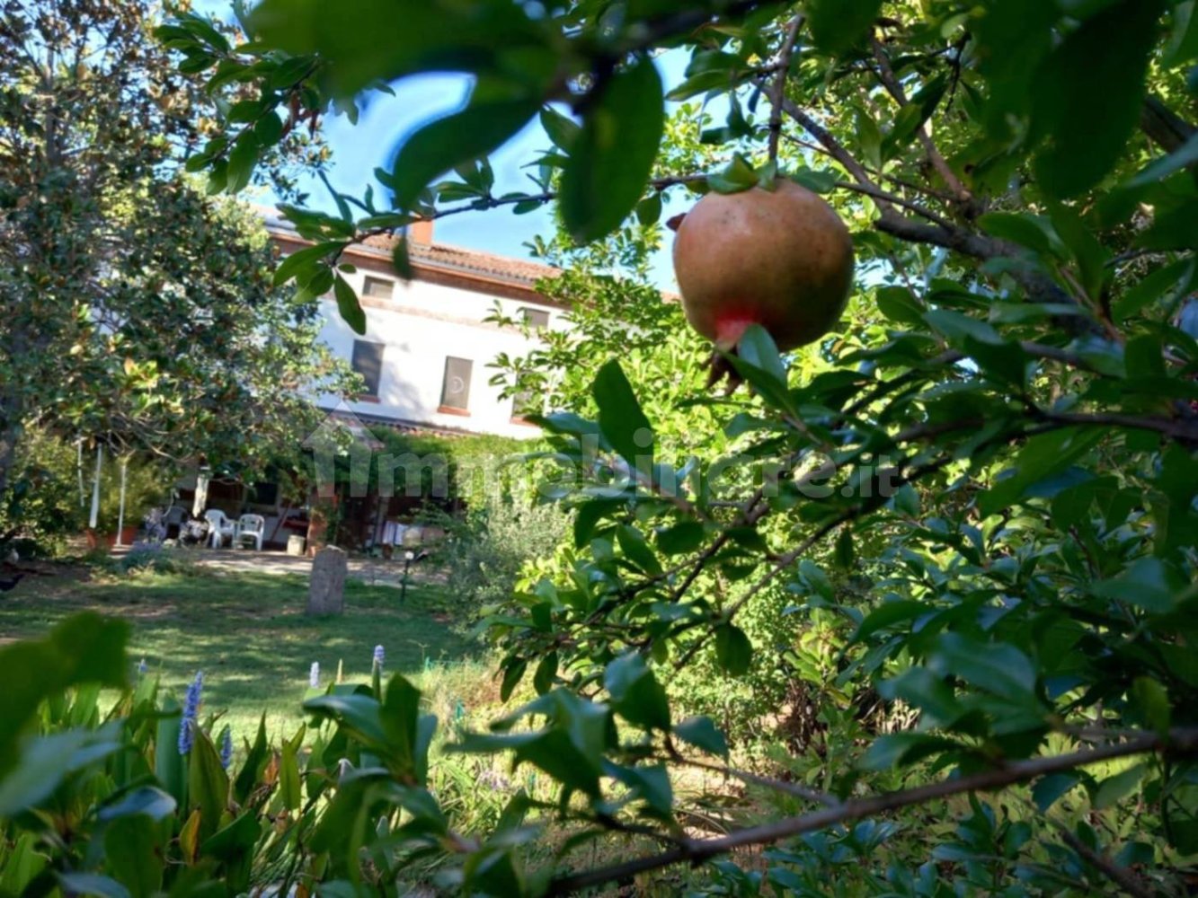 9 chambres Villa à Alessandria, Italy No. 50872