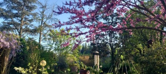 9 chambres Villa à Alessandria, Italy No. 50872 31