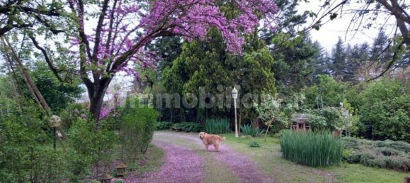 9 chambres Villa à Alessandria, Italy No. 50872 15