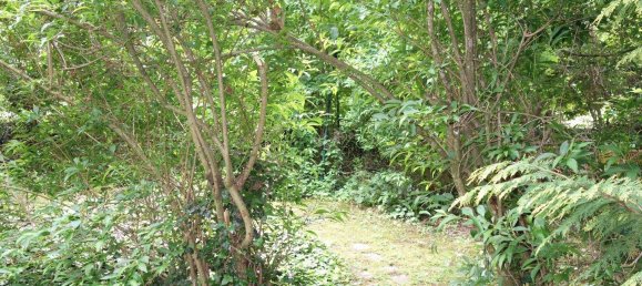 5-Zimmer Haus in Breitenfurt bei Wien, Austria, Nr. 204307 9