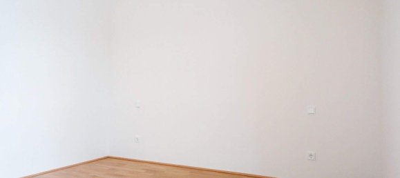 Квартира с 2 комнатами в Фельдкирхен бай Маттигхофен, Австрия № 204458 7