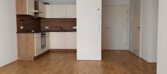 Квартира с 2 комнатами в Фельдкирхен бай Маттигхофен, Австрия № 204458 4