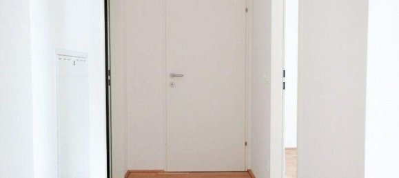 Квартира с 2 комнатами в Фельдкирхен бай Маттигхофен, Австрия № 204458 6