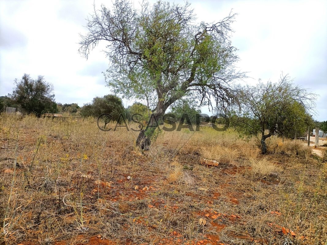 Grundstück in Lagos, Portugal 145m², Nr. 211812