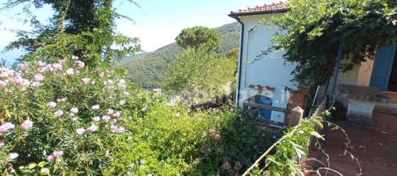 2 غرف نوم فيلا في Marciana, Italy رقم 136164 26