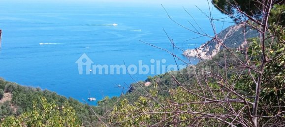 2 غرف نوم فيلا في Marciana, Italy رقم 136164 19