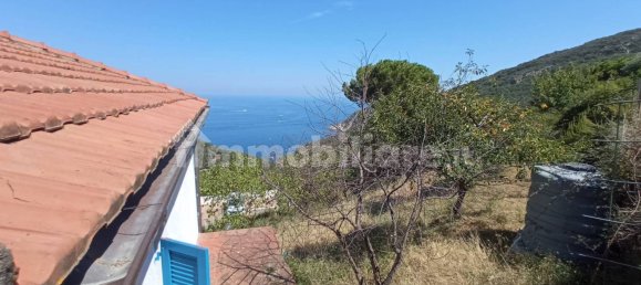 2 غرف نوم فيلا في Marciana, Italy رقم 136164 18