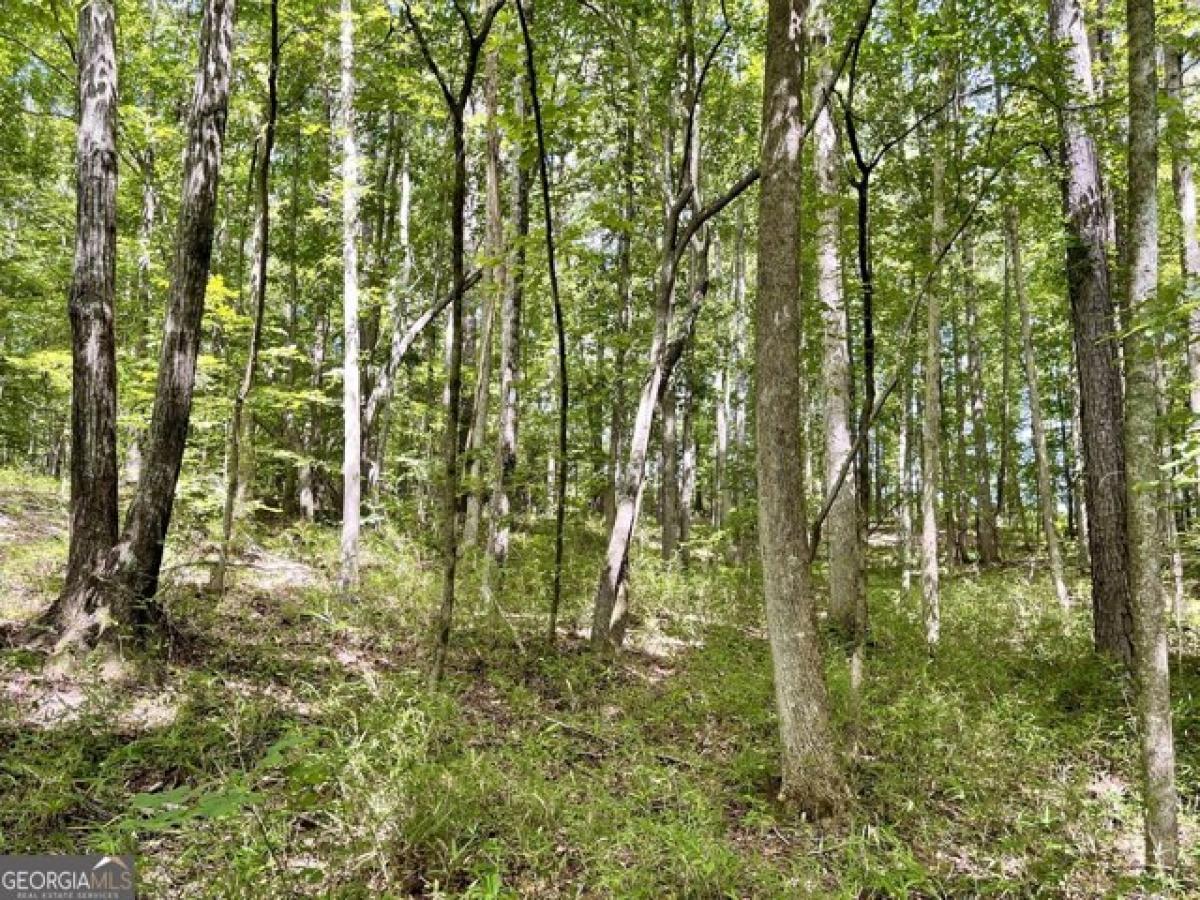  Land in Roopville, USA No. 527957