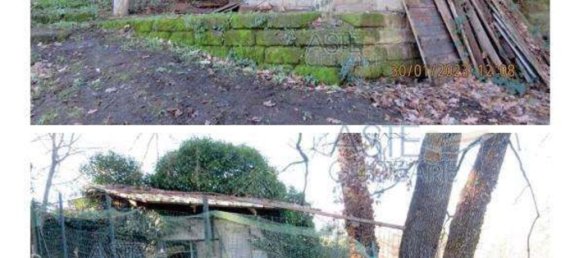 6-salle Maison à Mazzano Romano, Italy No. 195608 27