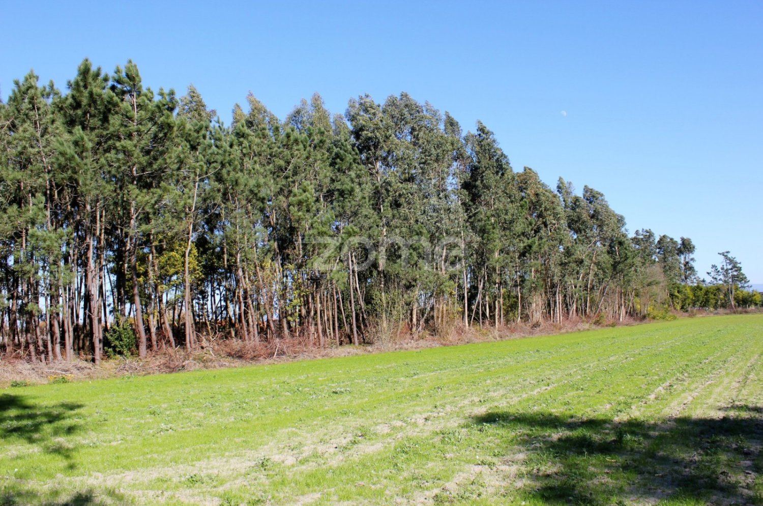 Terreno em Torreira, Portugal N.º 25448