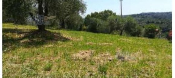 4 bedrooms House in Palaia, Italy No. 342528 22