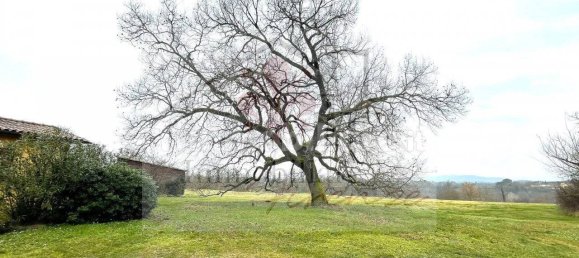 4 chambres Villa à Terranuova Bracciolini, Italy No. 137100 45