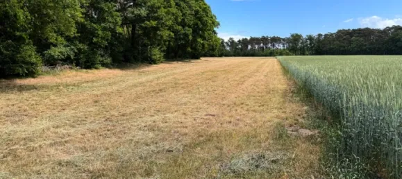 Земельный участок в Штайнфурт, Германия № 317351 4