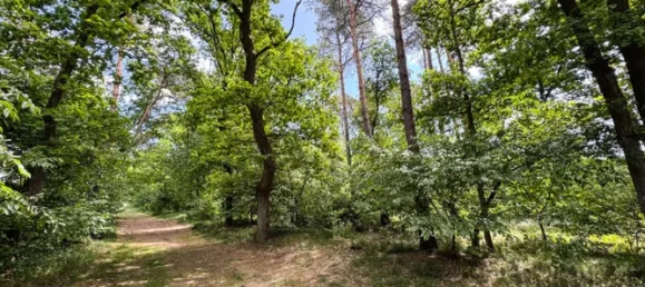 Земельный участок в Штайнфурт, Германия № 317351 5