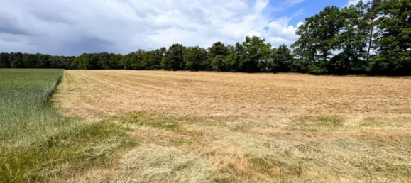 Земельный участок в Штайнфурт, Германия № 317351 3