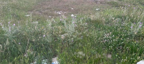 Terrain à El Puerto de Santa Maria, Spain No. 163127 2