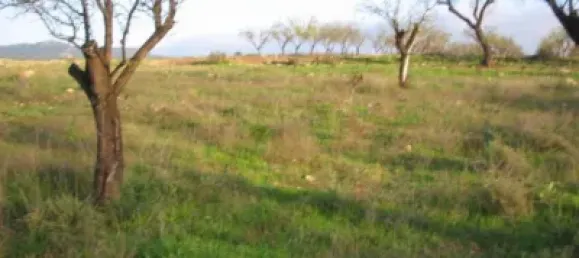 Casa T3 em Murcia, Spain N.º 145686 12