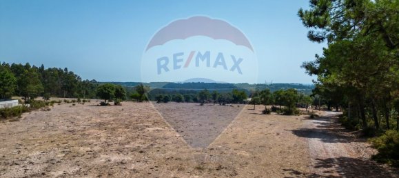 9 bedrooms House in Leiria, Portugal No. 51288 22