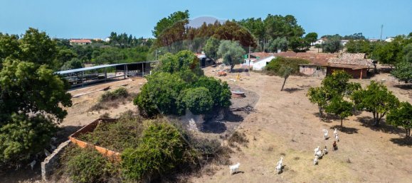 9 bedrooms House in Leiria, Portugal No. 51288 13