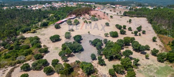 9 bedrooms House in Leiria, Portugal No. 51288 10