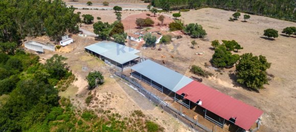 9 bedrooms House in Leiria, Portugal No. 51288 18