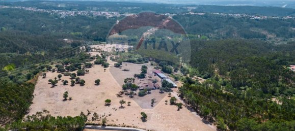 9 bedrooms House in Leiria, Portugal No. 51288 14