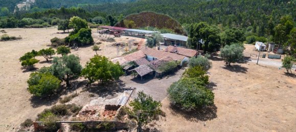 9 bedrooms House in Leiria, Portugal No. 51288 15