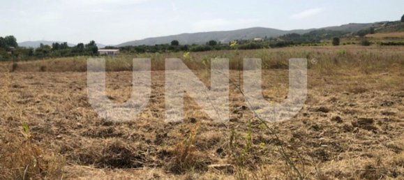 Grundstück in Telhado, Portugal 10000m², Nr. 76989 5