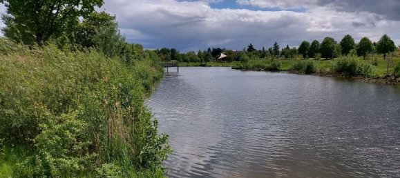 4 غرف نوم بناية في Rhein-Neckar-Kreis, Germany رقم 257048 40