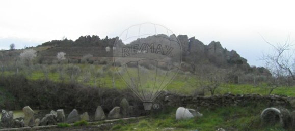 4 bedrooms House in Vimioso, Portugal No. 175462 8