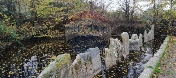 4 bedrooms House in Vimioso, Portugal No. 175462 10