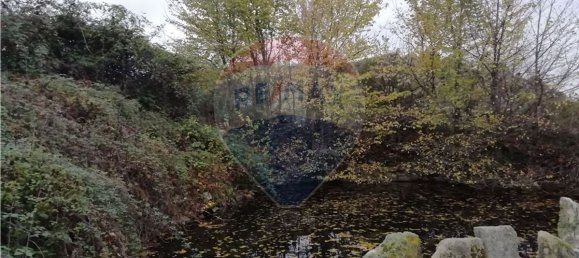 4 bedrooms House in Vimioso, Portugal No. 175462 11