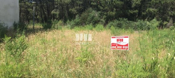 Grundstück in Viana do Castelo, Portugal 270m², Nr. 71132 21