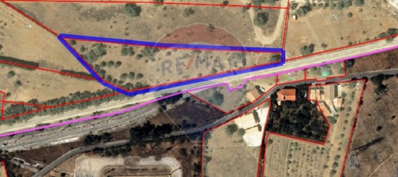 3 chambres Maison à Silves, Portugal No. 159949 5