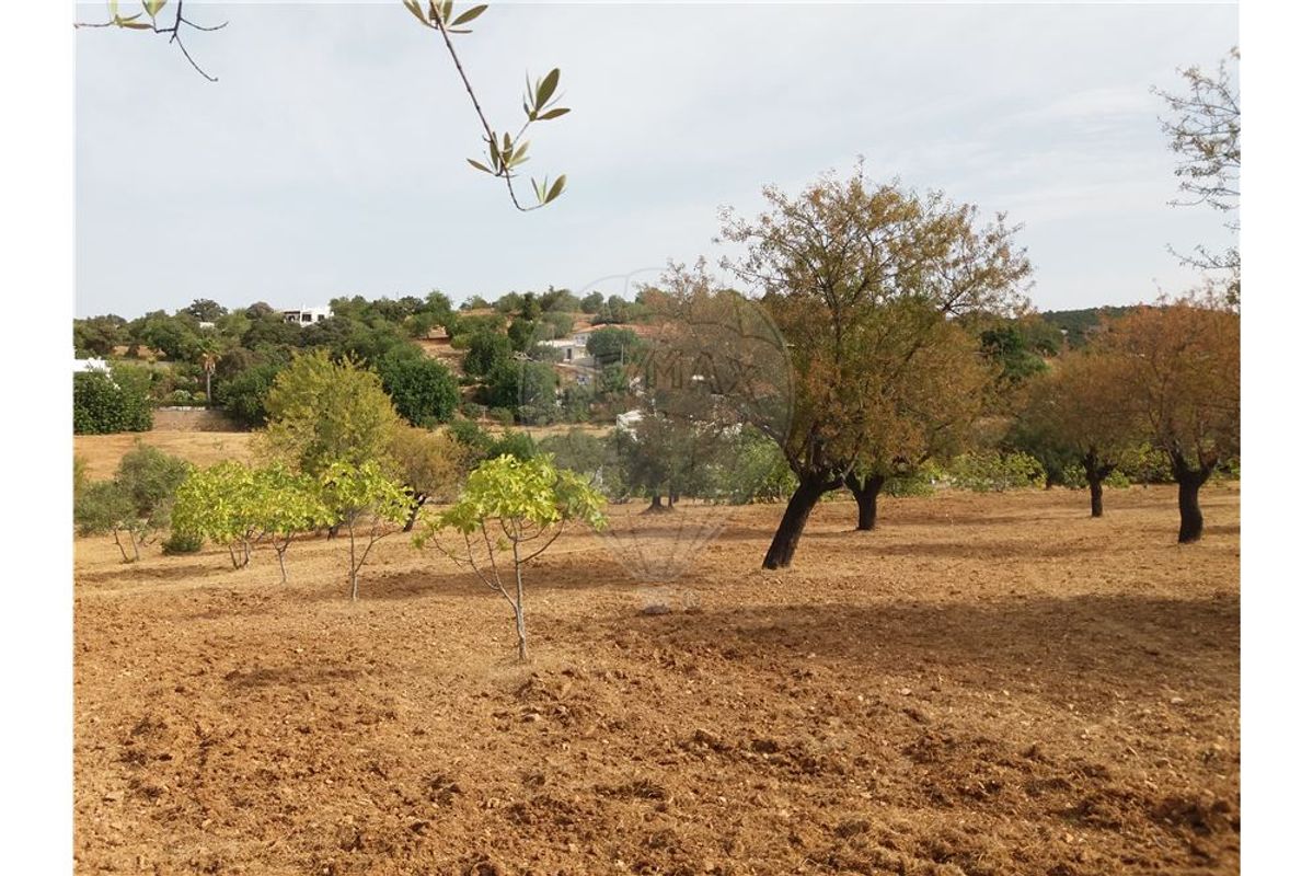 14400m² Land in Faro, Portugal No. 30902