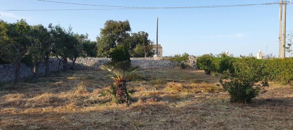 6 rooms Villa in Modica, Italy No. 148013 16