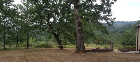 Casa de 5 habitaciónes en Torre Orsaia, Italy No. 106238 11