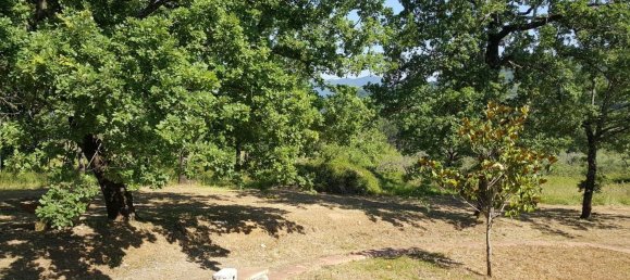 Casa de 5 habitaciónes en Torre Orsaia, Italy No. 106238 14