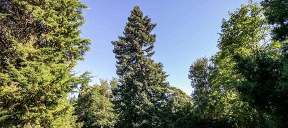 10 غرف نوم قلاع في Elvas, Portugal رقم 103760 7